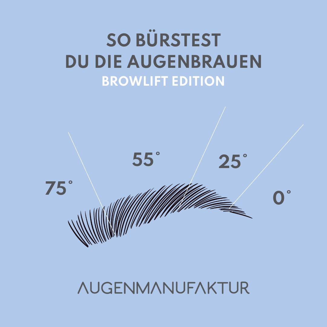 Grafik wo man sieht in welche Richtung man seine Augenbrauen stylen kann